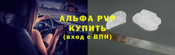 эйфоретик Арсеньев