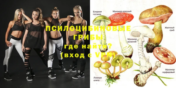 мяу мяу мука Аркадак