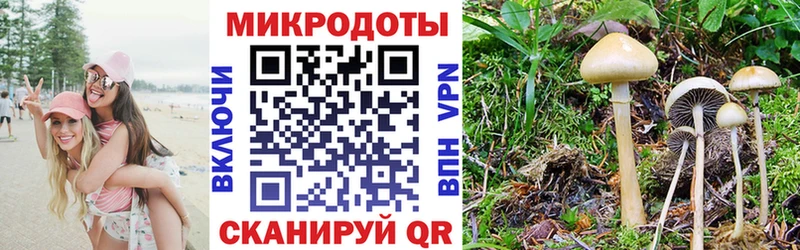 мега ссылка  Скопин  Галлюциногенные грибы GOLDEN TEACHER 